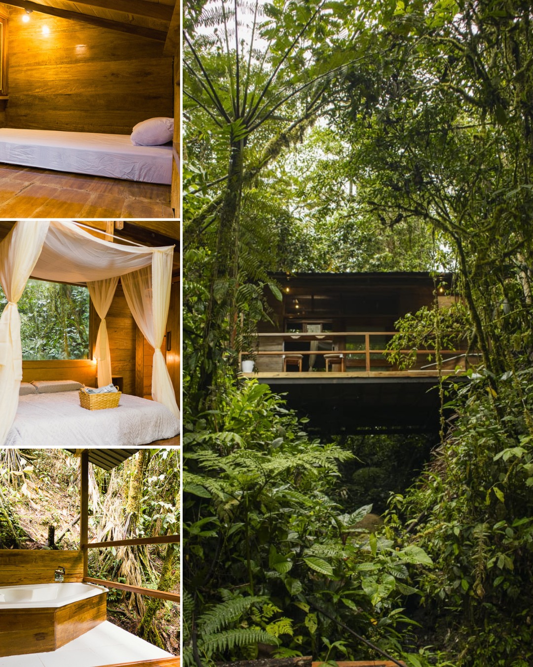 NUESTRAS CABAÑAS EN LA AMAZONIA